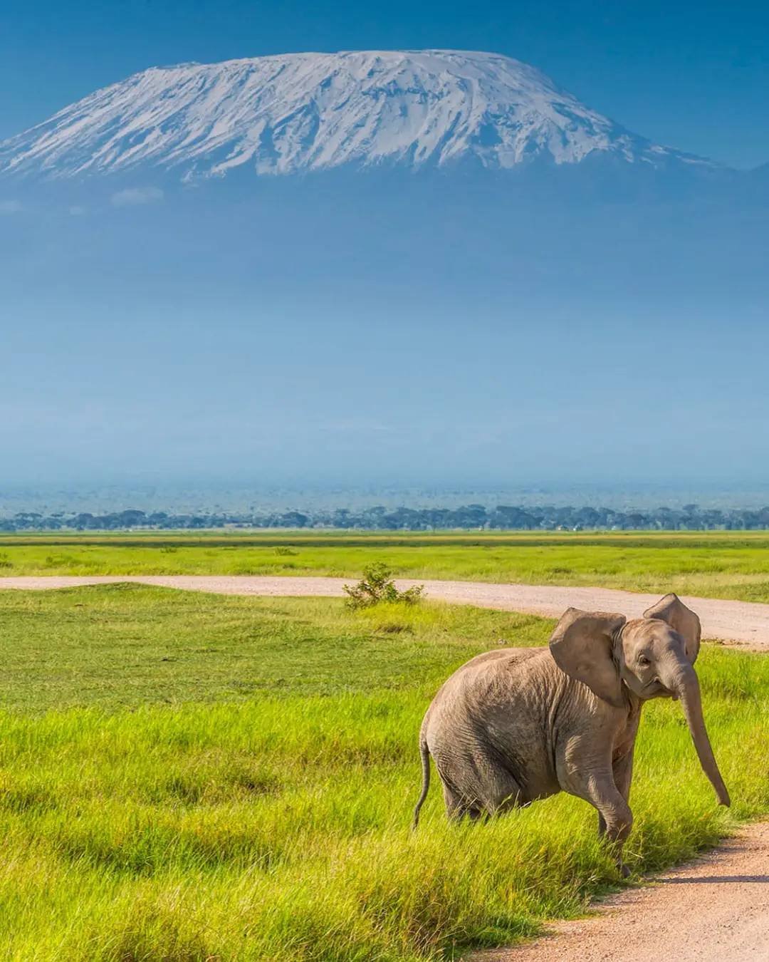 Amboseli
