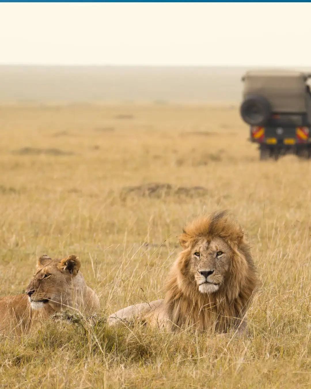 Maasai Mara